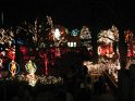 Toledo Zoo Lights 2008 033